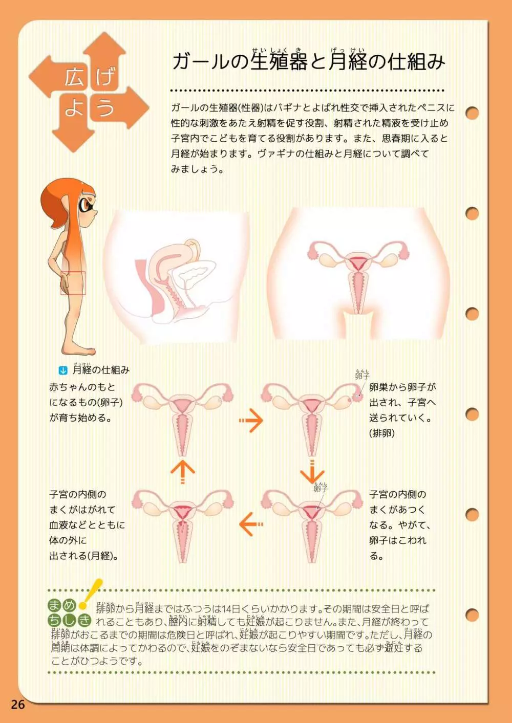 新編 新しいイカの保健 5ページ