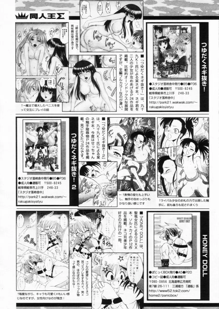 COMIC パピポ 2004年10月号 246ページ