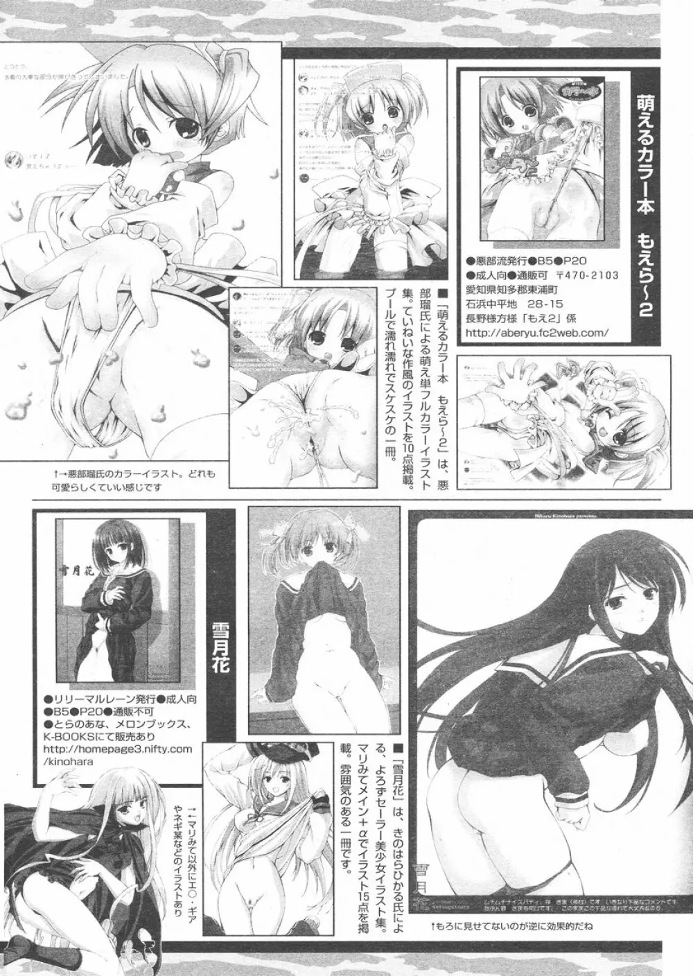 COMIC パピポ 2005年02月号 244ページ