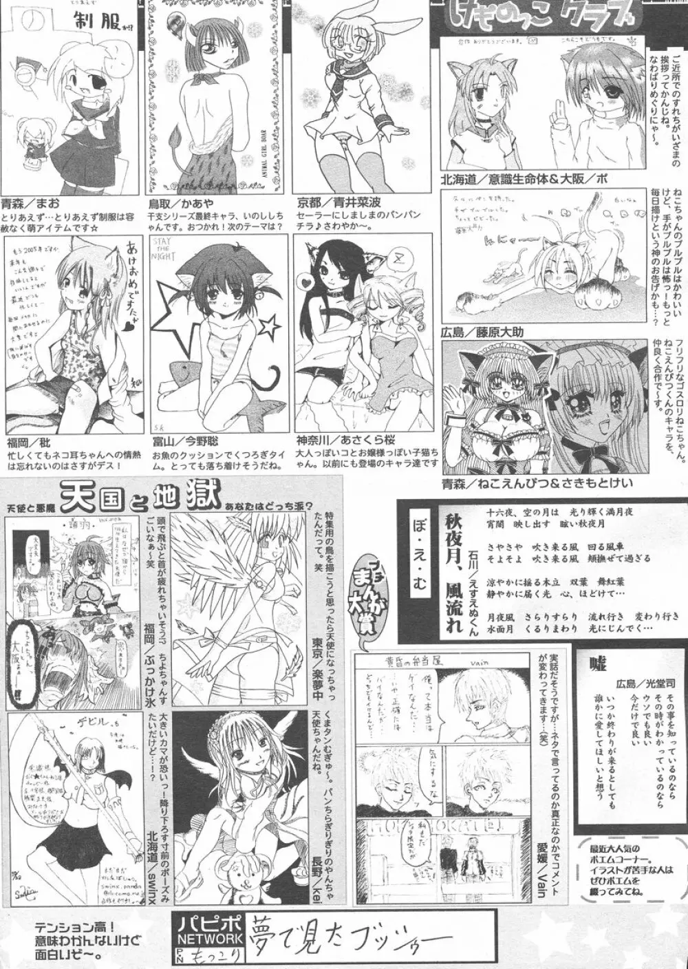 COMIC パピポ 2005年02月号 254ページ