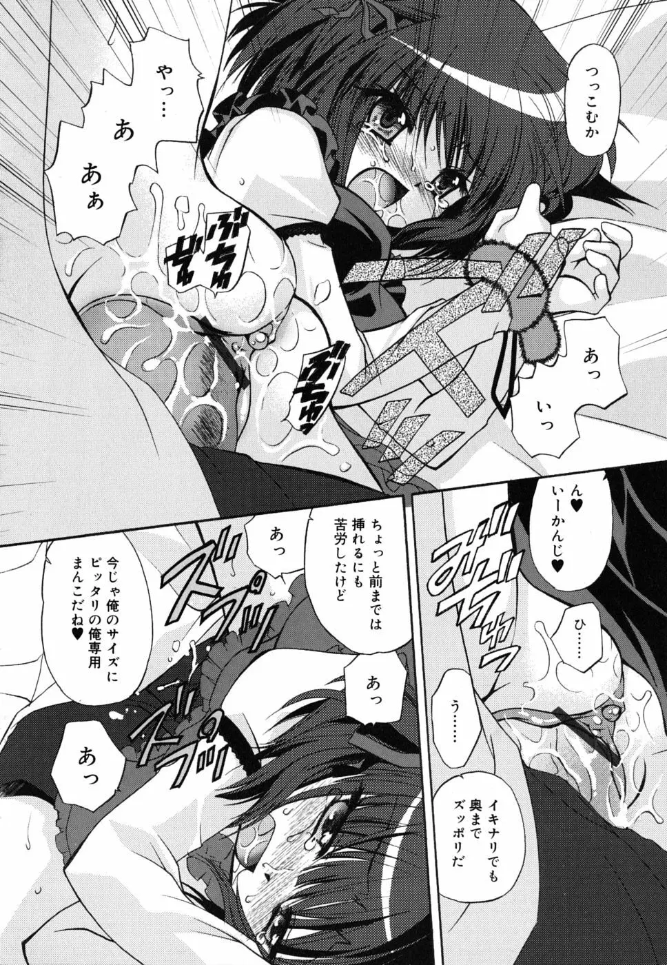 ボクとキミのヒメゴト 195ページ