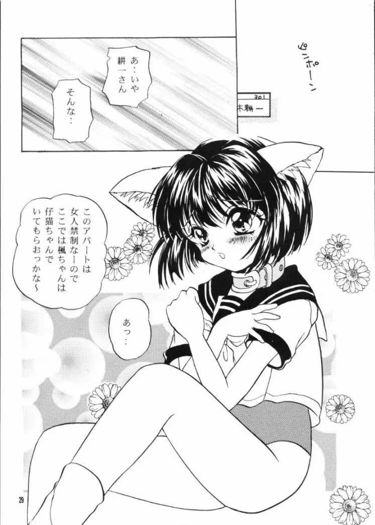 かえでのほん 28ページ