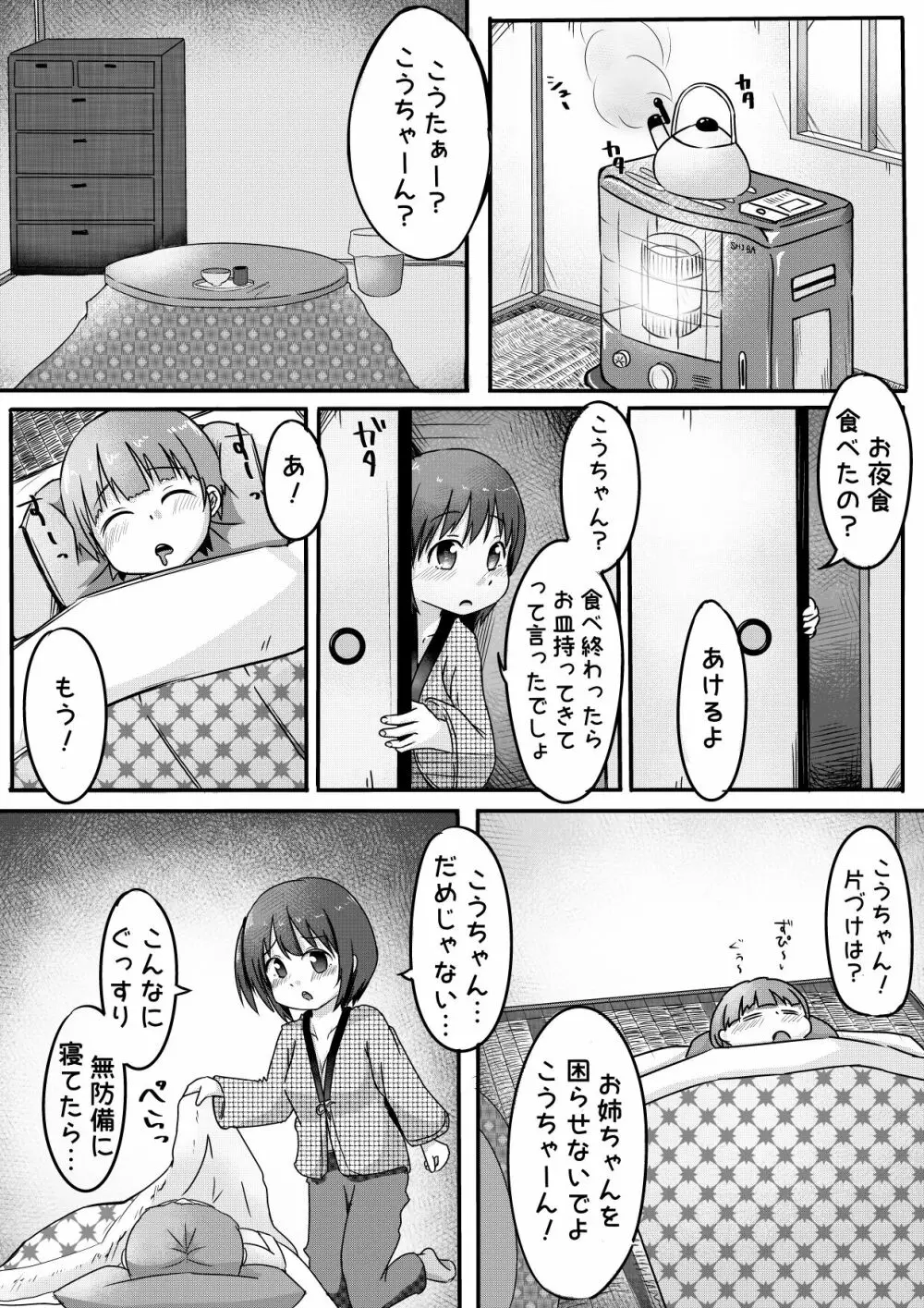 弟ちゃんを薬で眠らせて犯してみた。 3ページ