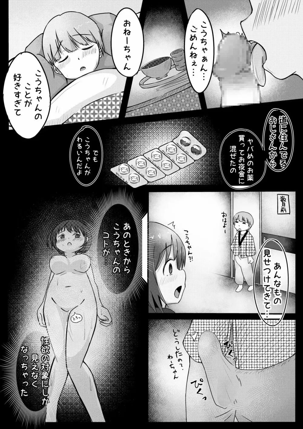 弟ちゃんを薬で眠らせて犯してみた。 5ページ