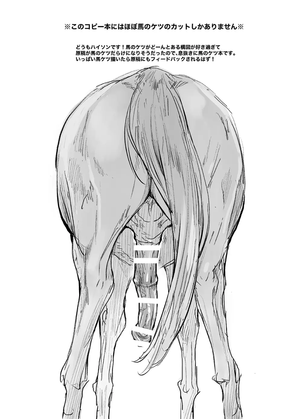 馬のケツと射精本 2ページ