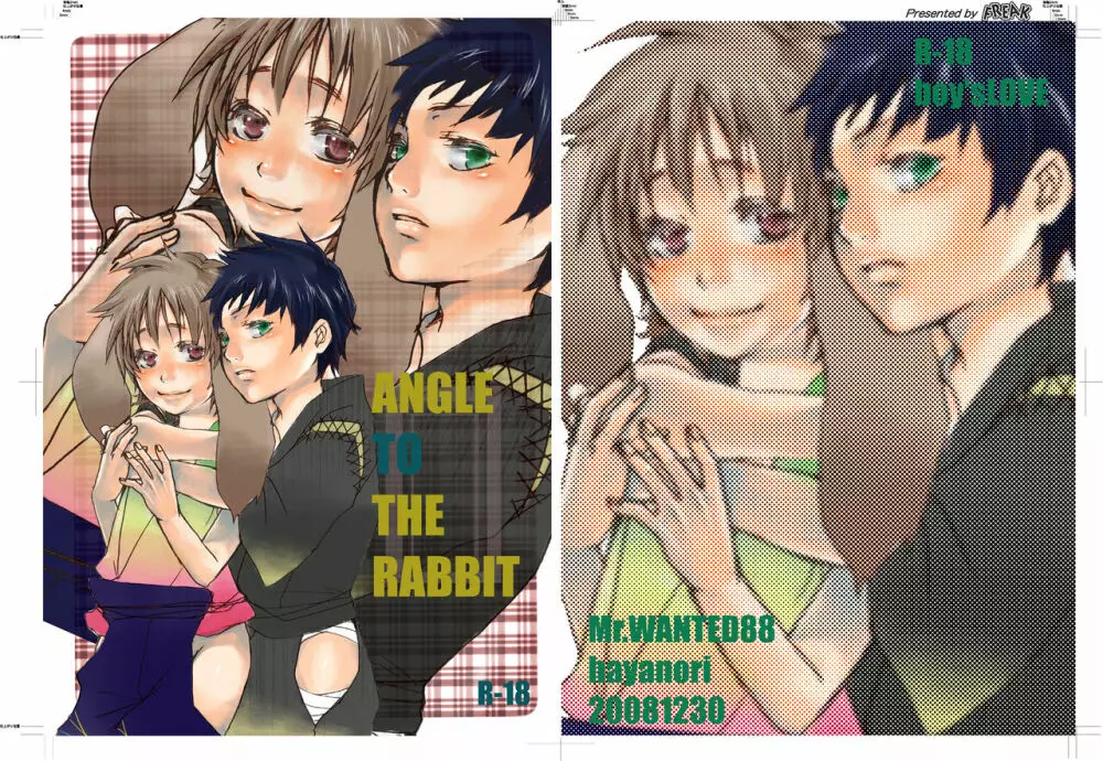 ANGLE TO THE RABBIT