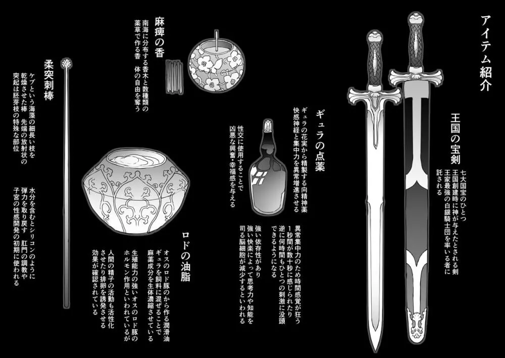 王となる者～王姫調教録～ 31ページ