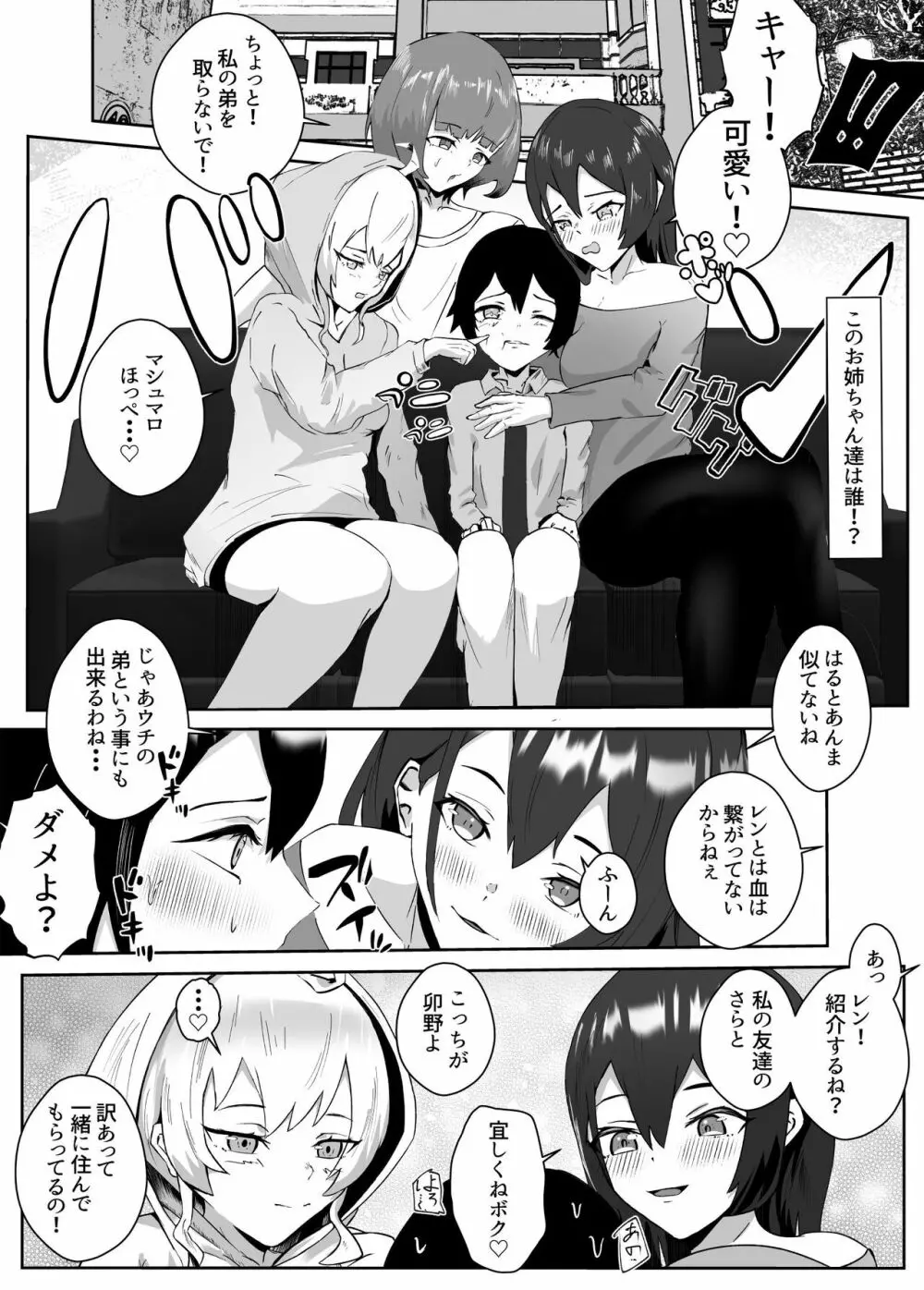 姉宅ハーレム_お姉ちゃんに会いに来ただけなのに・・・ 4ページ