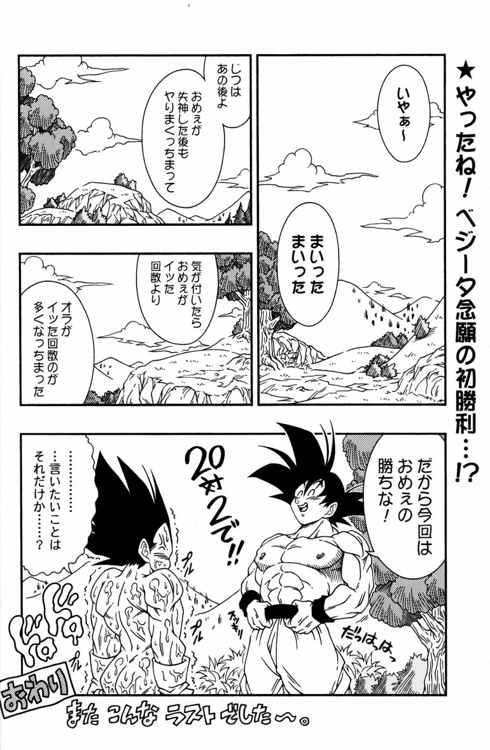 Dragonball Fan Book SPLASH!!! 33ページ