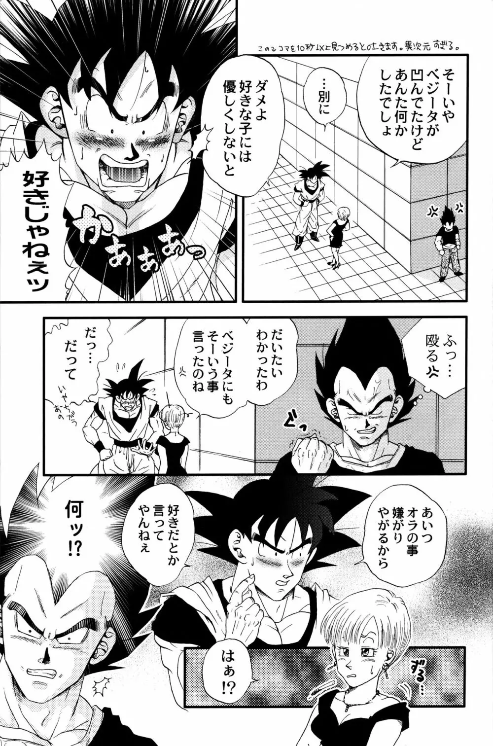 Dragonball Fan Book SPECIAL 10ページ