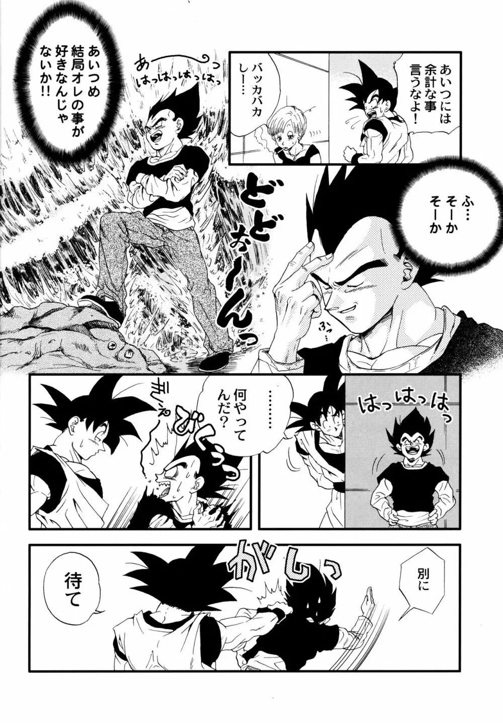 Dragonball Fan Book SPECIAL 11ページ