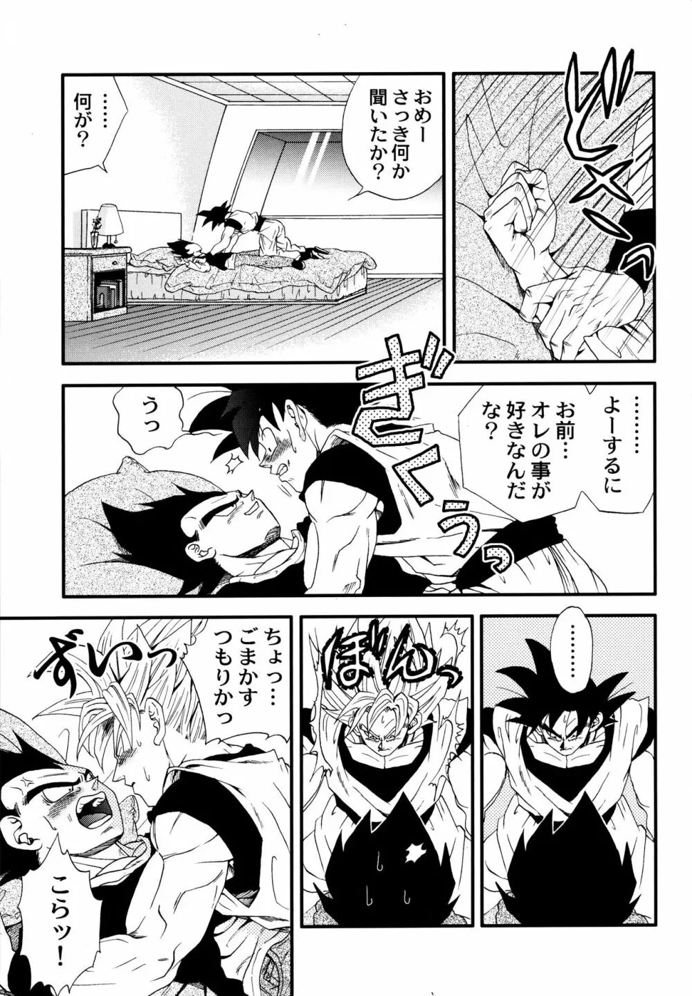 Dragonball Fan Book SPECIAL 12ページ