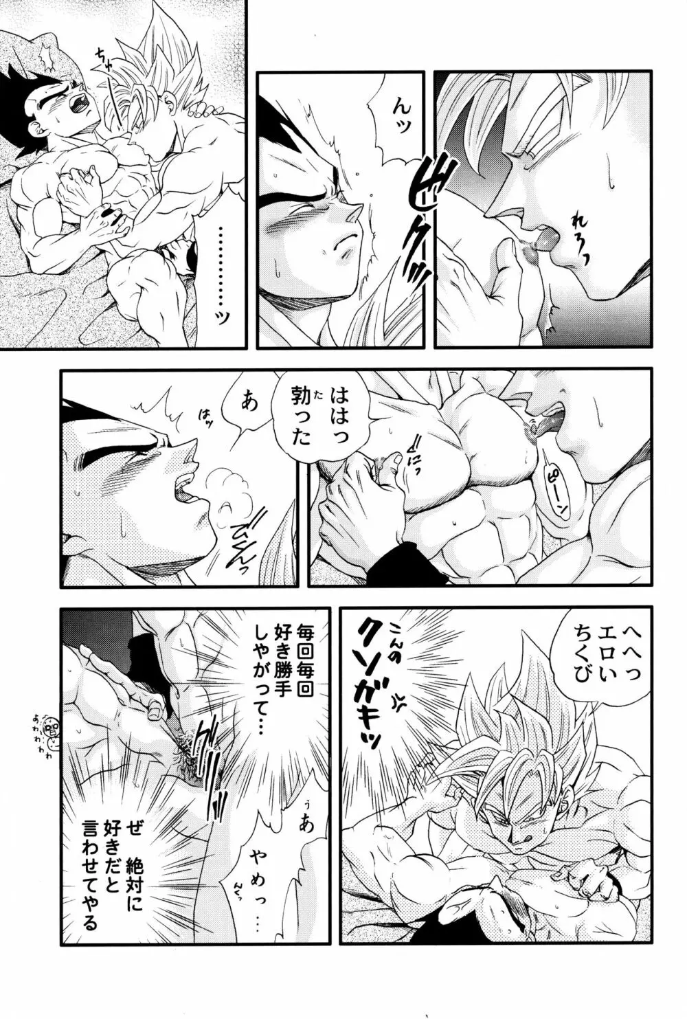 Dragonball Fan Book SPECIAL 14ページ