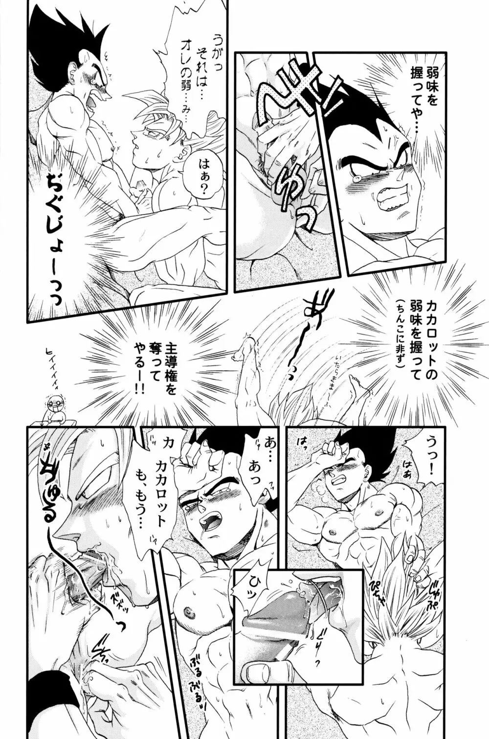 Dragonball Fan Book SPECIAL 15ページ