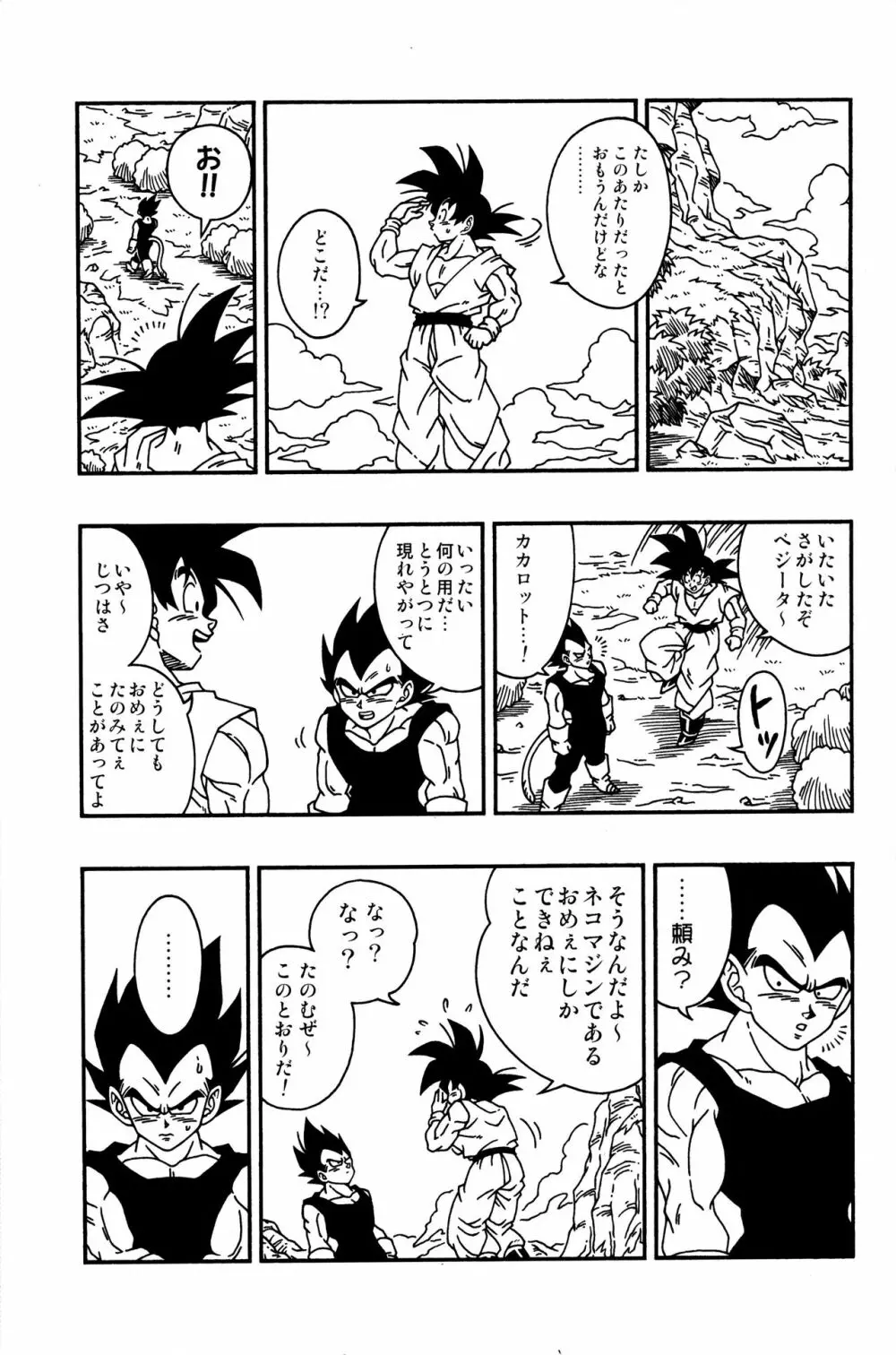 Dragonball Fan Book SPECIAL 22ページ