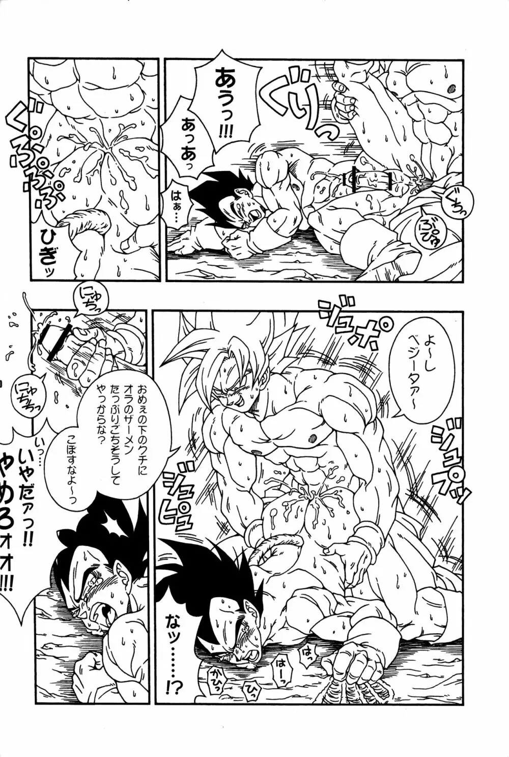 Dragonball Fan Book SPECIAL 27ページ