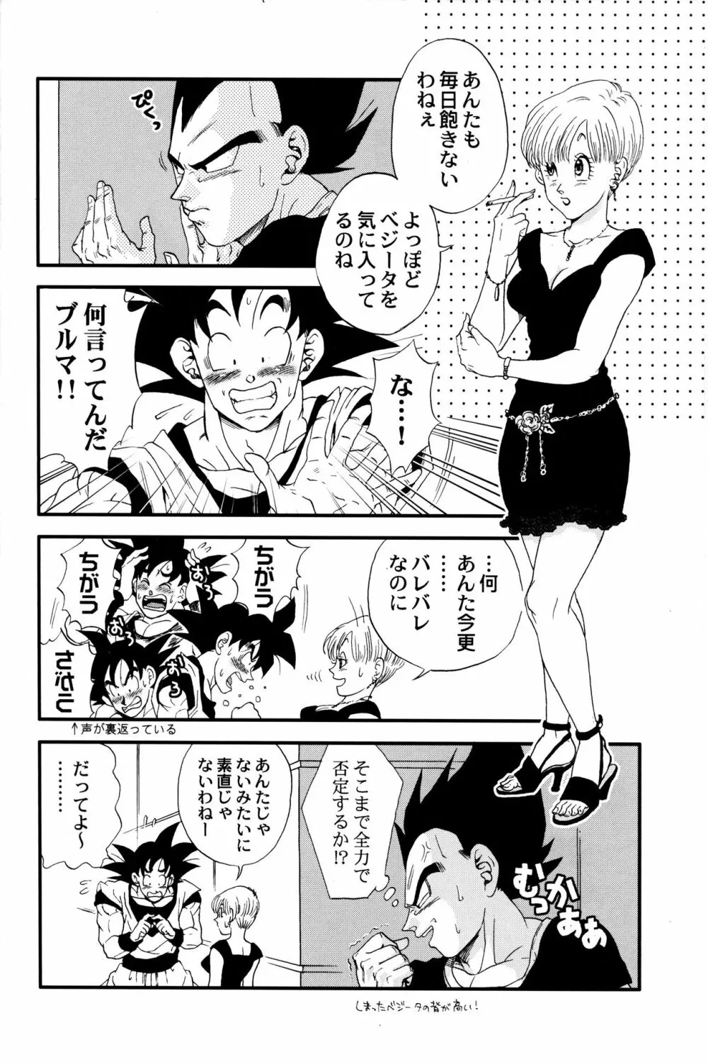 Dragonball Fan Book SPECIAL 9ページ