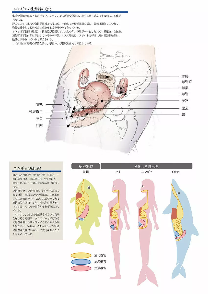 ビッチマーメイド 01-12 30ページ