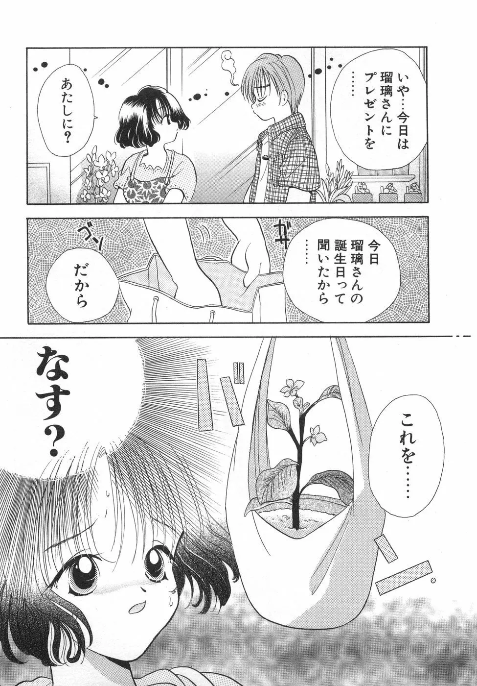 オレンジ色の花 113ページ