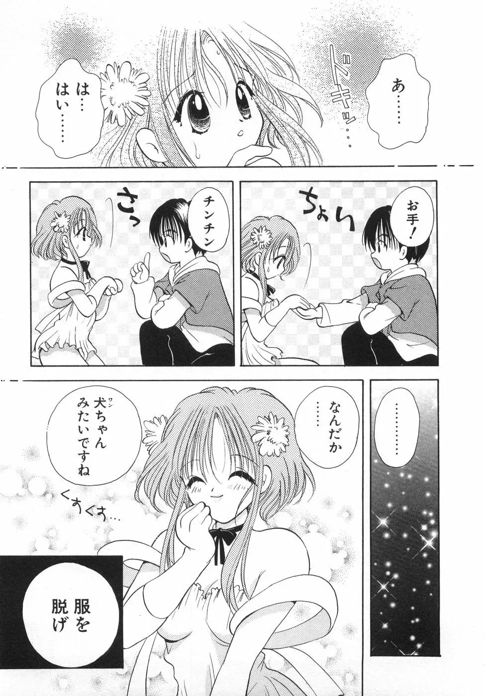 オレンジ色の花 161ページ