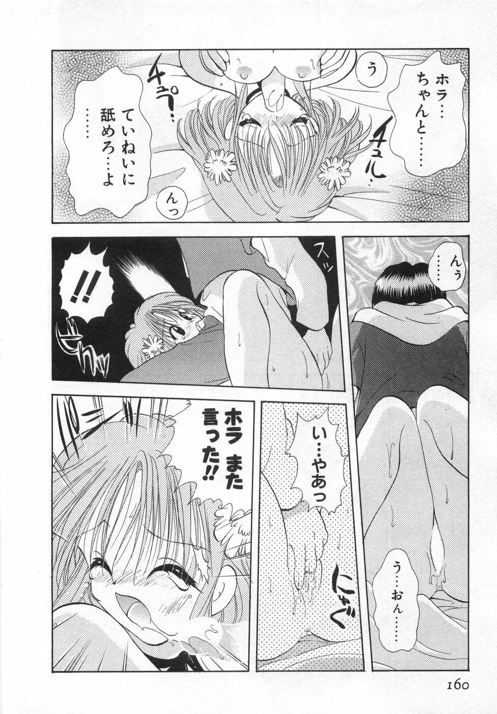 オレンジ色の花 166ページ