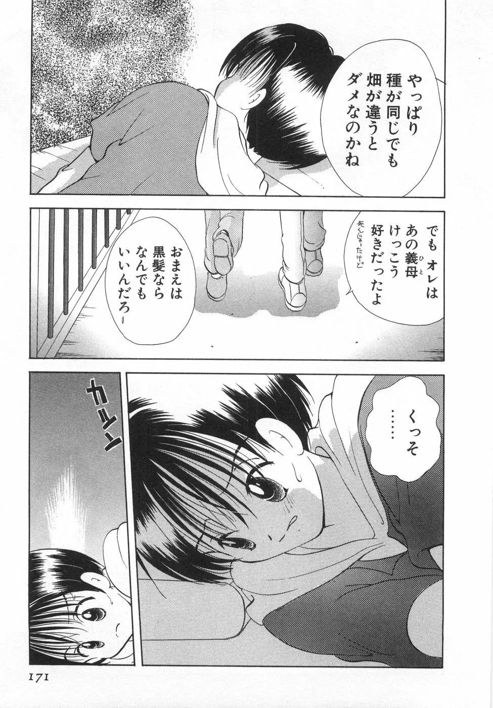 オレンジ色の花 177ページ