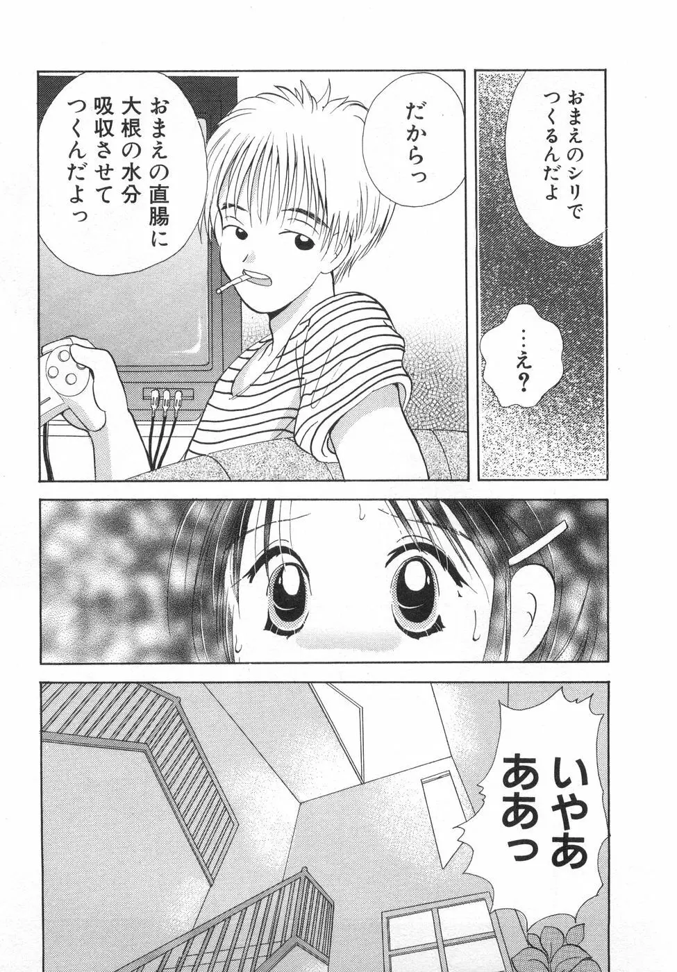 オレンジ色の花 97ページ