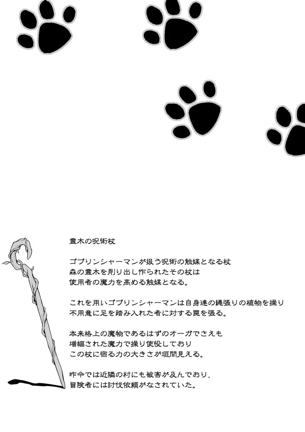 猫狩人ちゃんはぼーけんしゃにあこがれる 2 25ページ