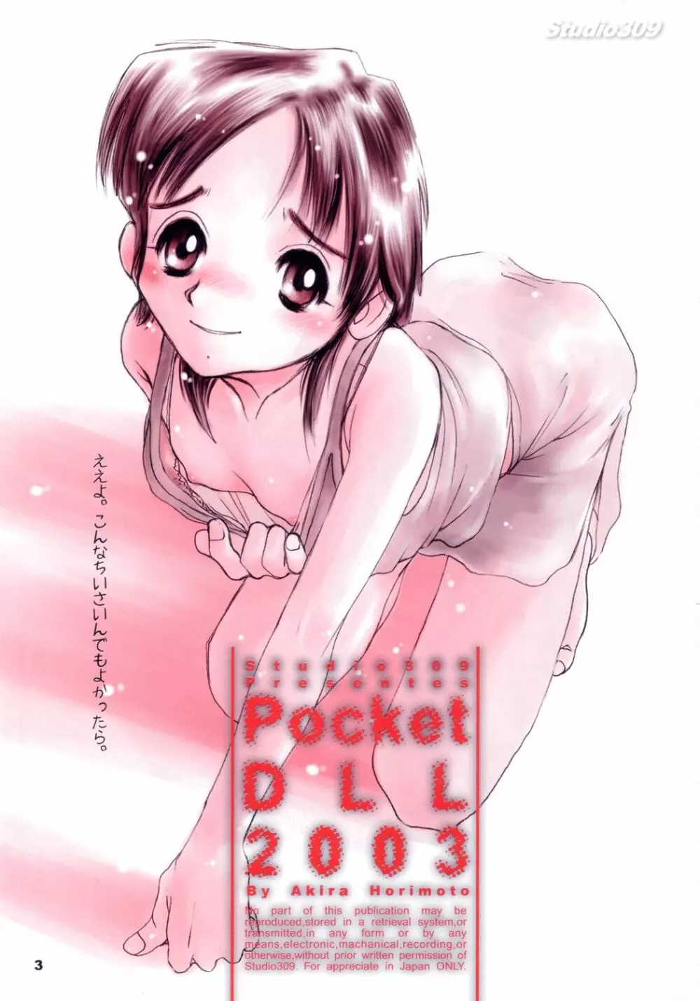 Pocket Dll 2ページ