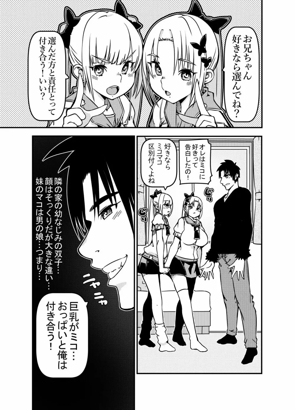 双子姉妹 少女x男の娘 3ページ