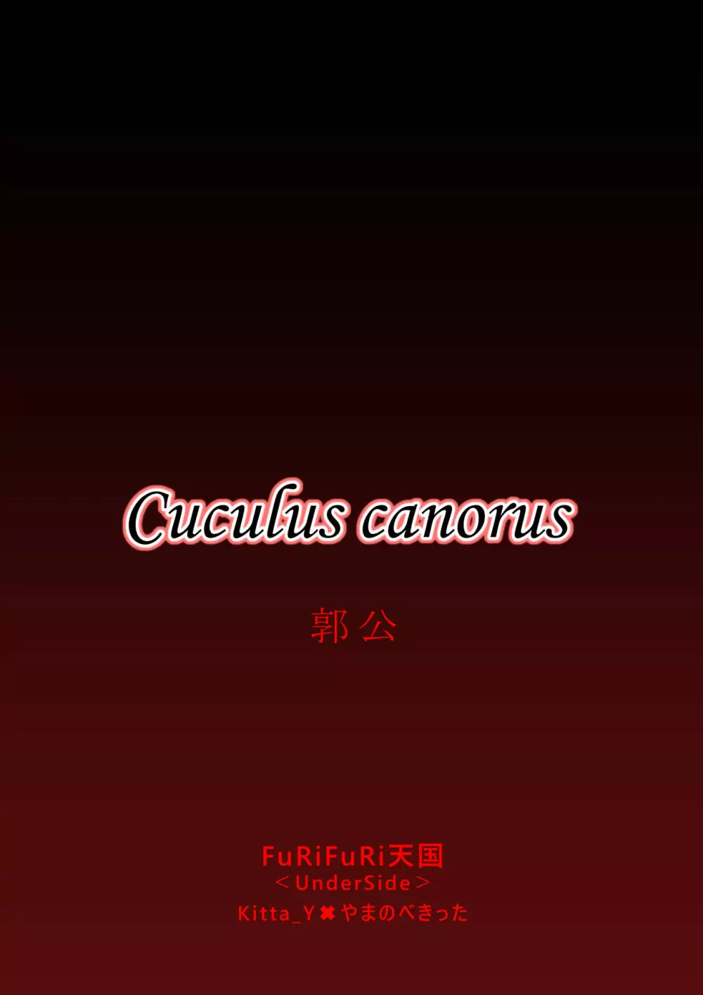 Cuculus canorus 33ページ