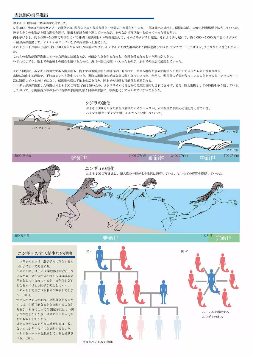 ビッチマーメイド 01-14 67ページ