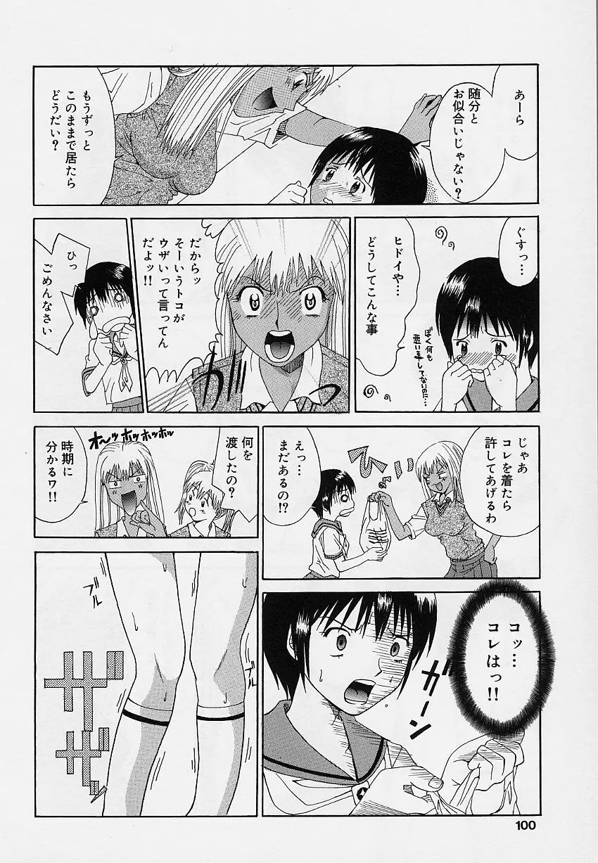 乙女のカンヅメ 100ページ