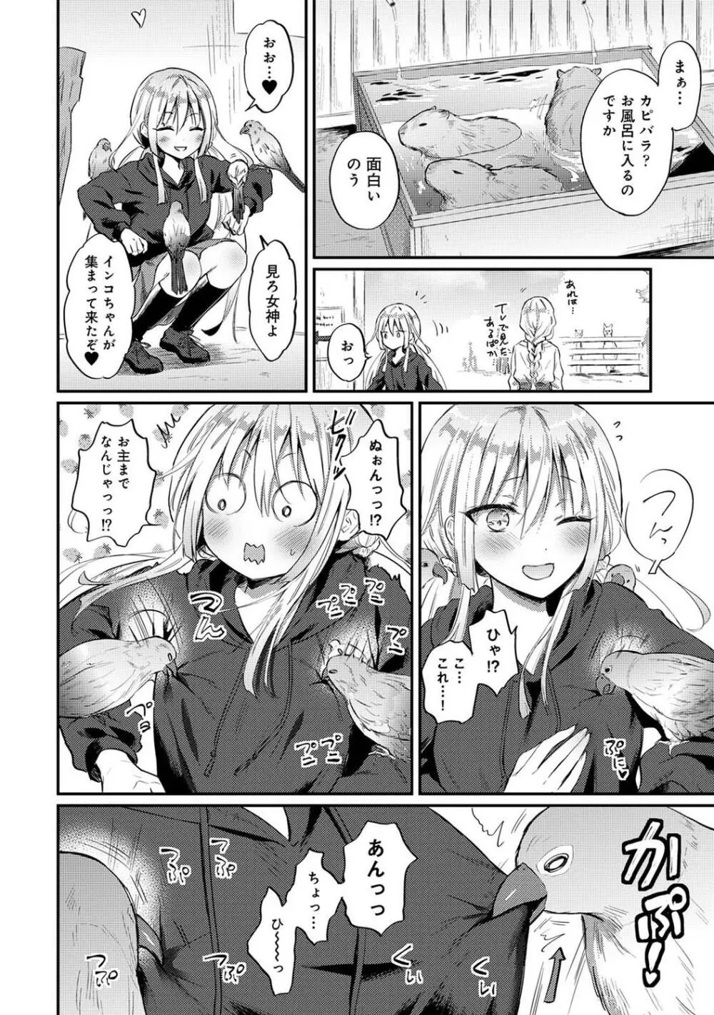 COMIC アナンガ・ランガ Vol.95 264ページ