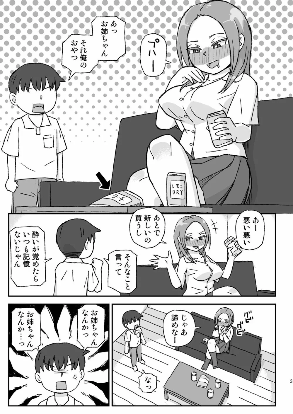 酔ったお姉ちゃんは何をされても記憶にない 3ページ