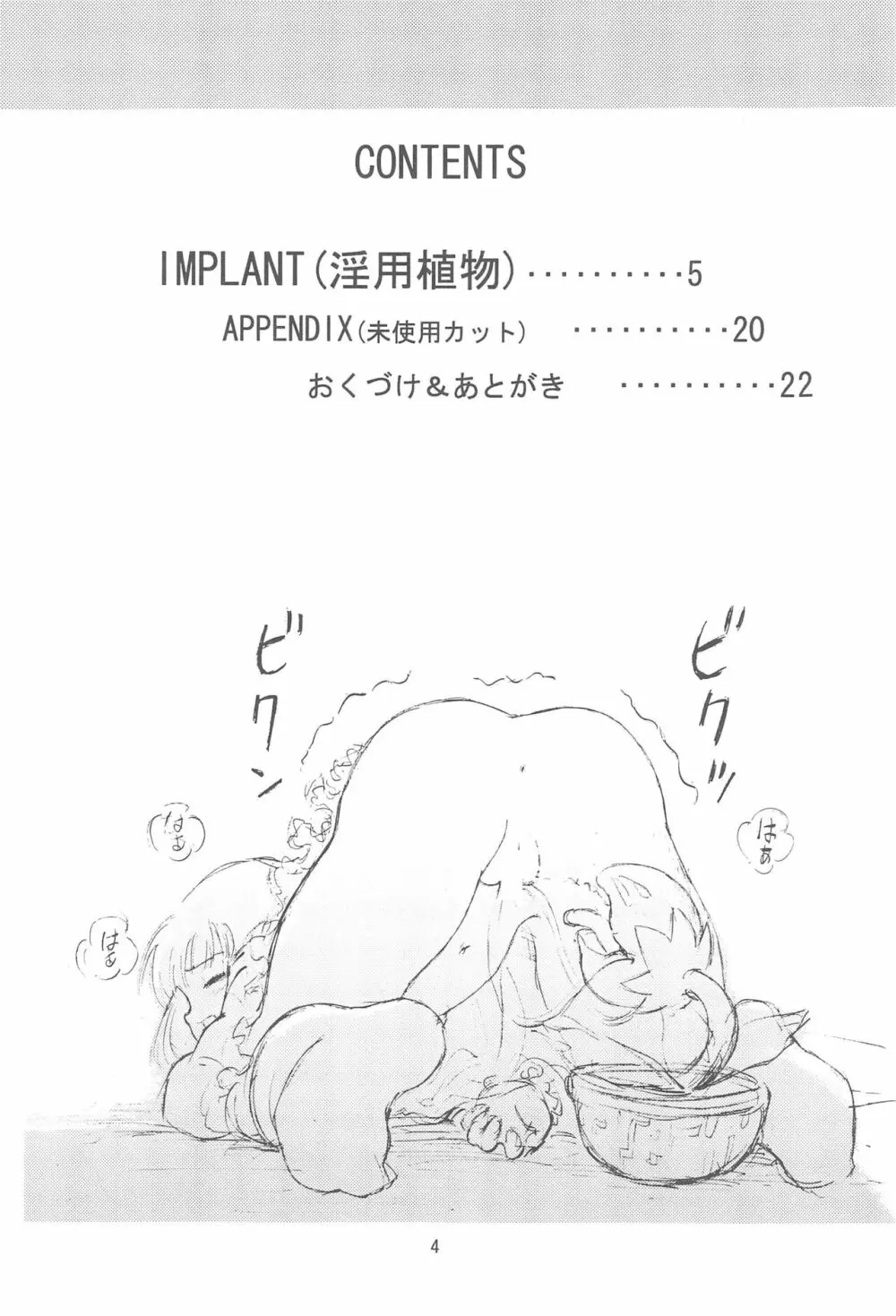 Implant 4ページ