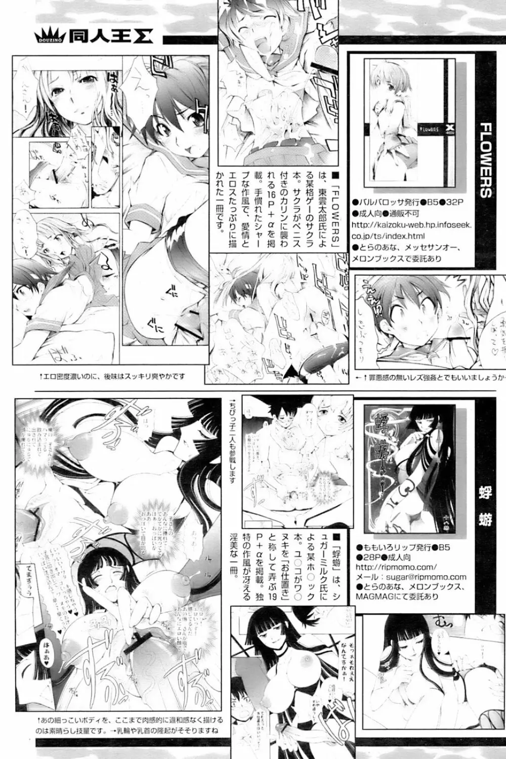 COMIC パピポ 2007年01月号 241ページ