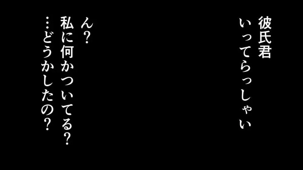 ラブラブ新婚!!まだカップル感が抜けていないよ、だから私が浮気するはずない。 252ページ