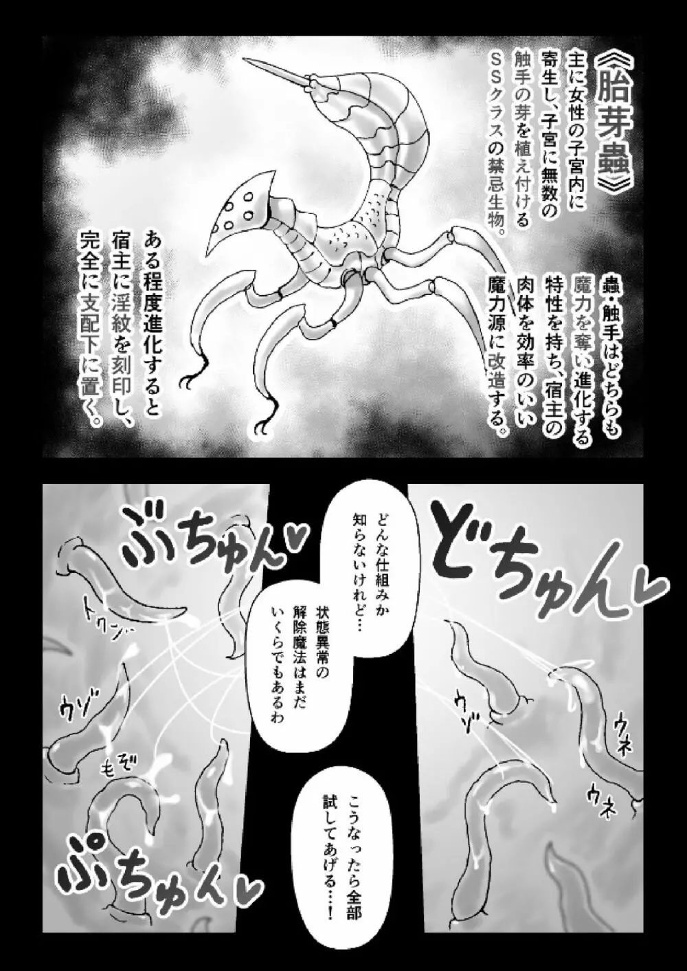 魔女が触手と蟲に寄生されて子宮と人生をめちゃくちゃにされる話 9ページ