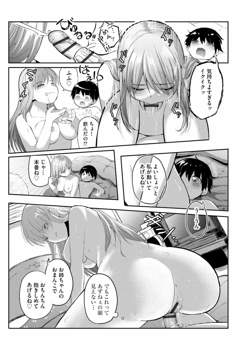 サイベリアplus Vol.15 345ページ