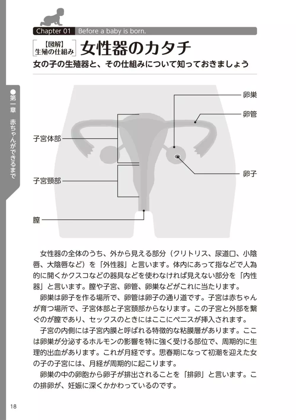 やらなくてもまんがで解る性交と妊娠 赤ちゃんのつくり方 20ページ