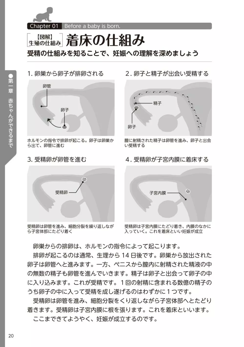 やらなくてもまんがで解る性交と妊娠 赤ちゃんのつくり方 22ページ