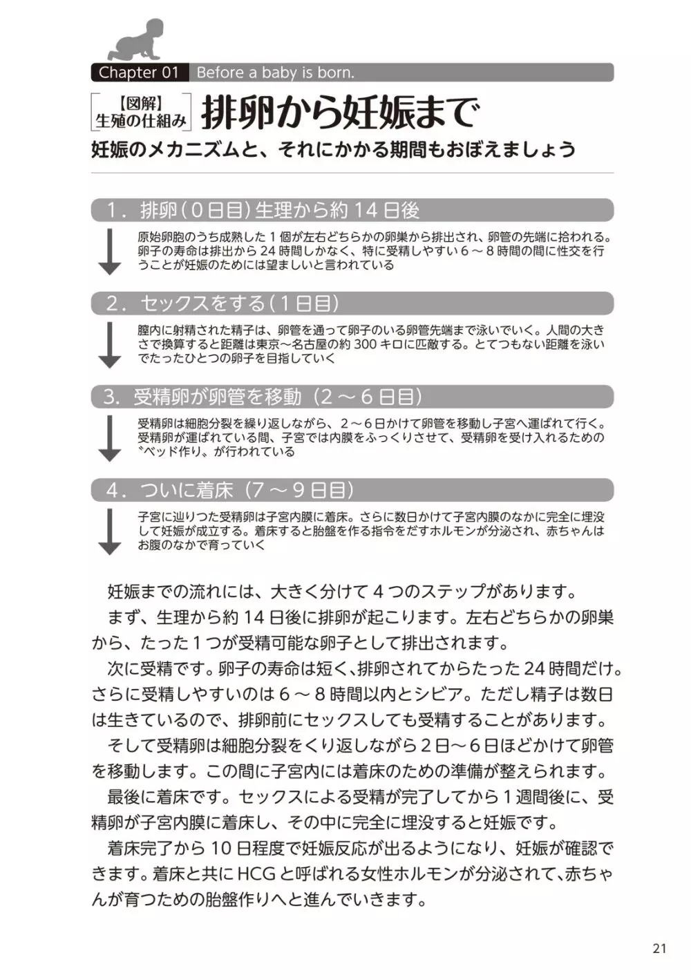 やらなくてもまんがで解る性交と妊娠 赤ちゃんのつくり方 23ページ