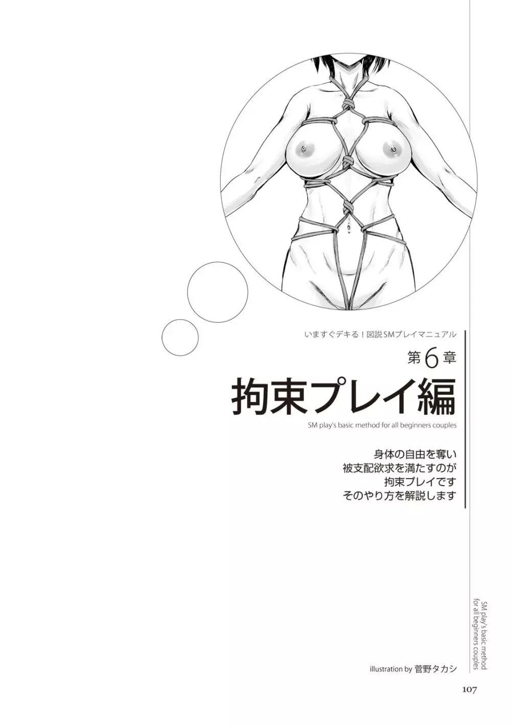 いますぐデキる 図説SMプレイマニュアル 107ページ