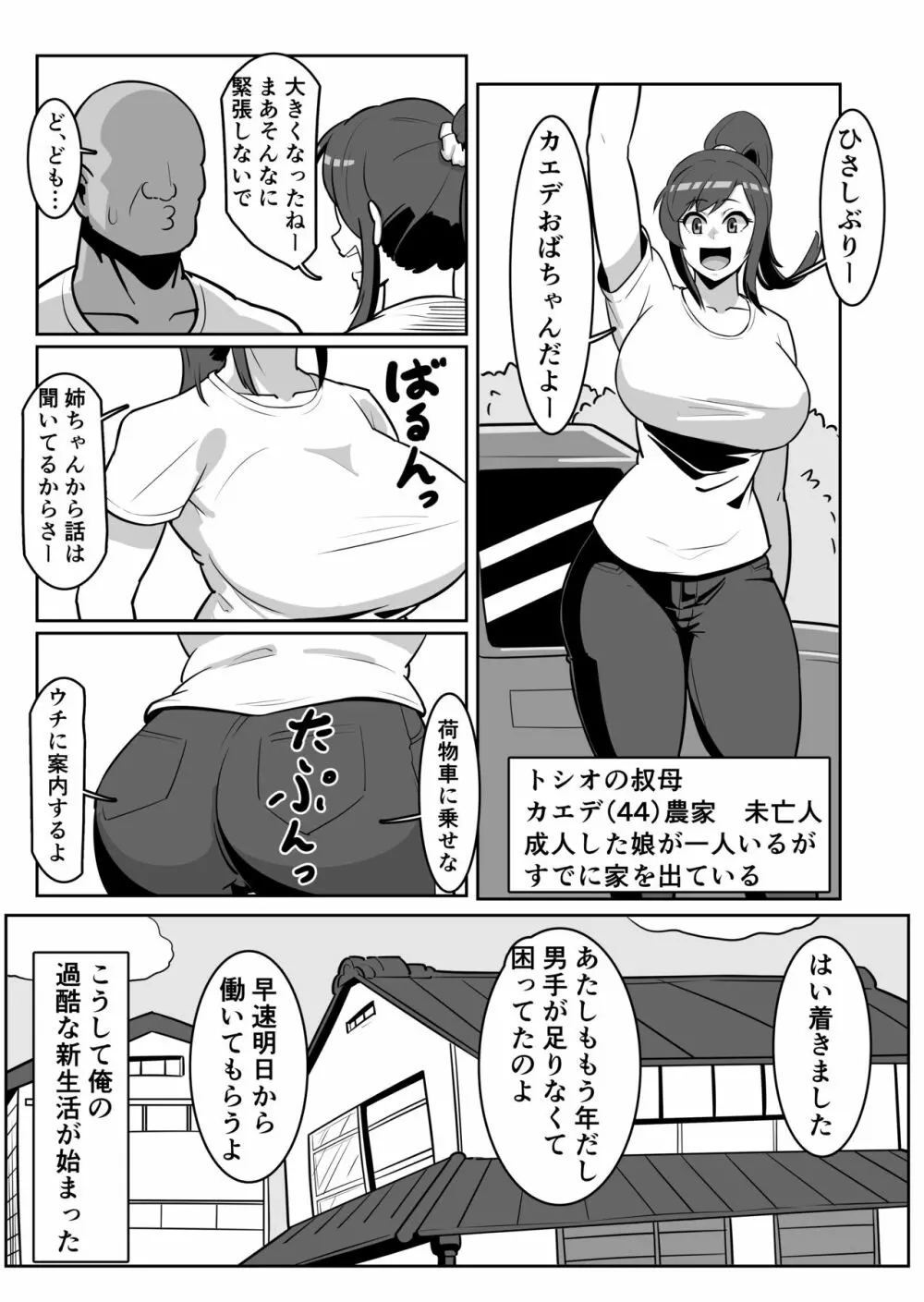 ボテおばっ 〜居候先の叔母さんを孕ませてボテ腹セックス三昧！〜 5ページ