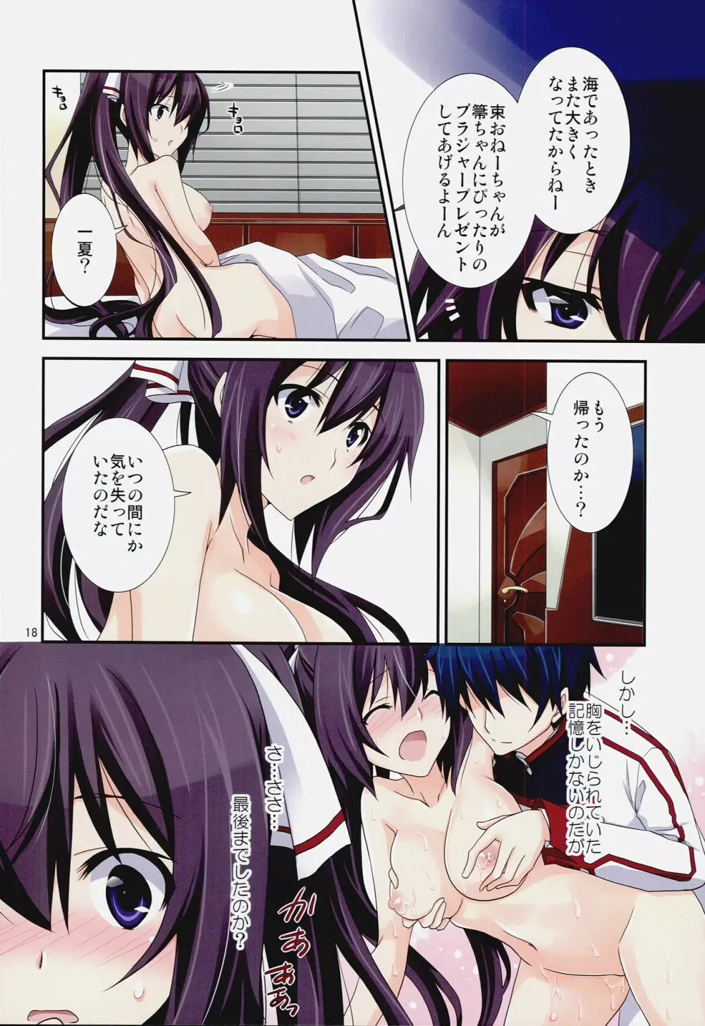 Burst Up！Infinite Stratos FAN BOOK 18ページ