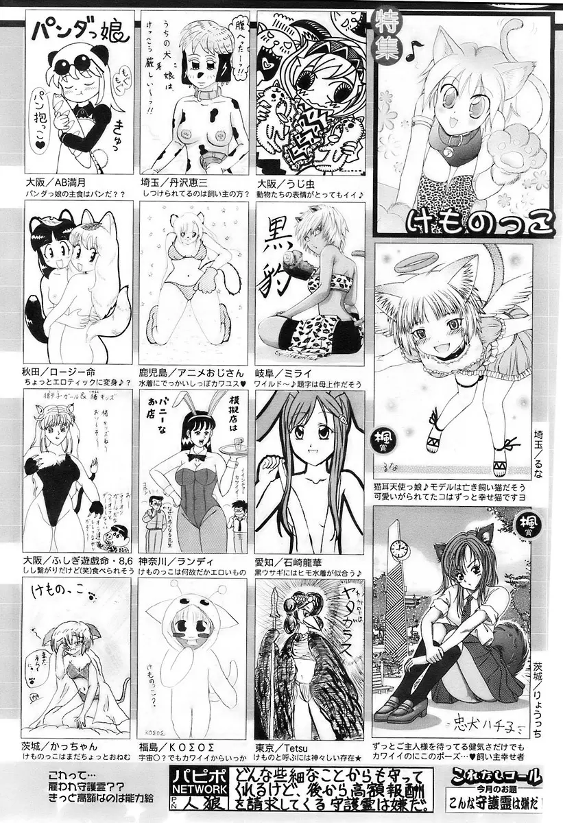 COMIC パピポ 2007年11月号 247ページ