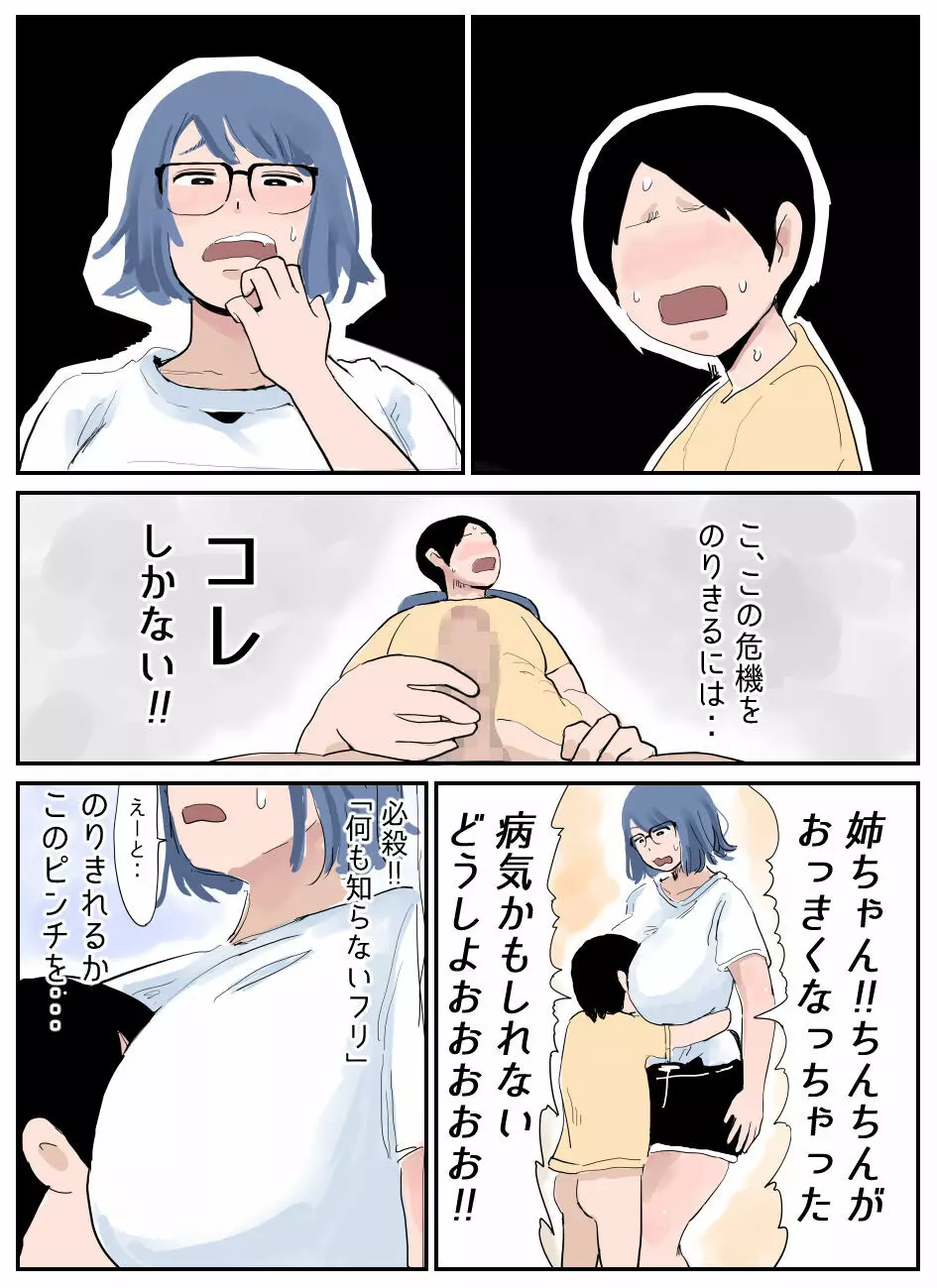 ぼくには姉がいます～まじめ長女と次女ヤンキー～ 3ページ