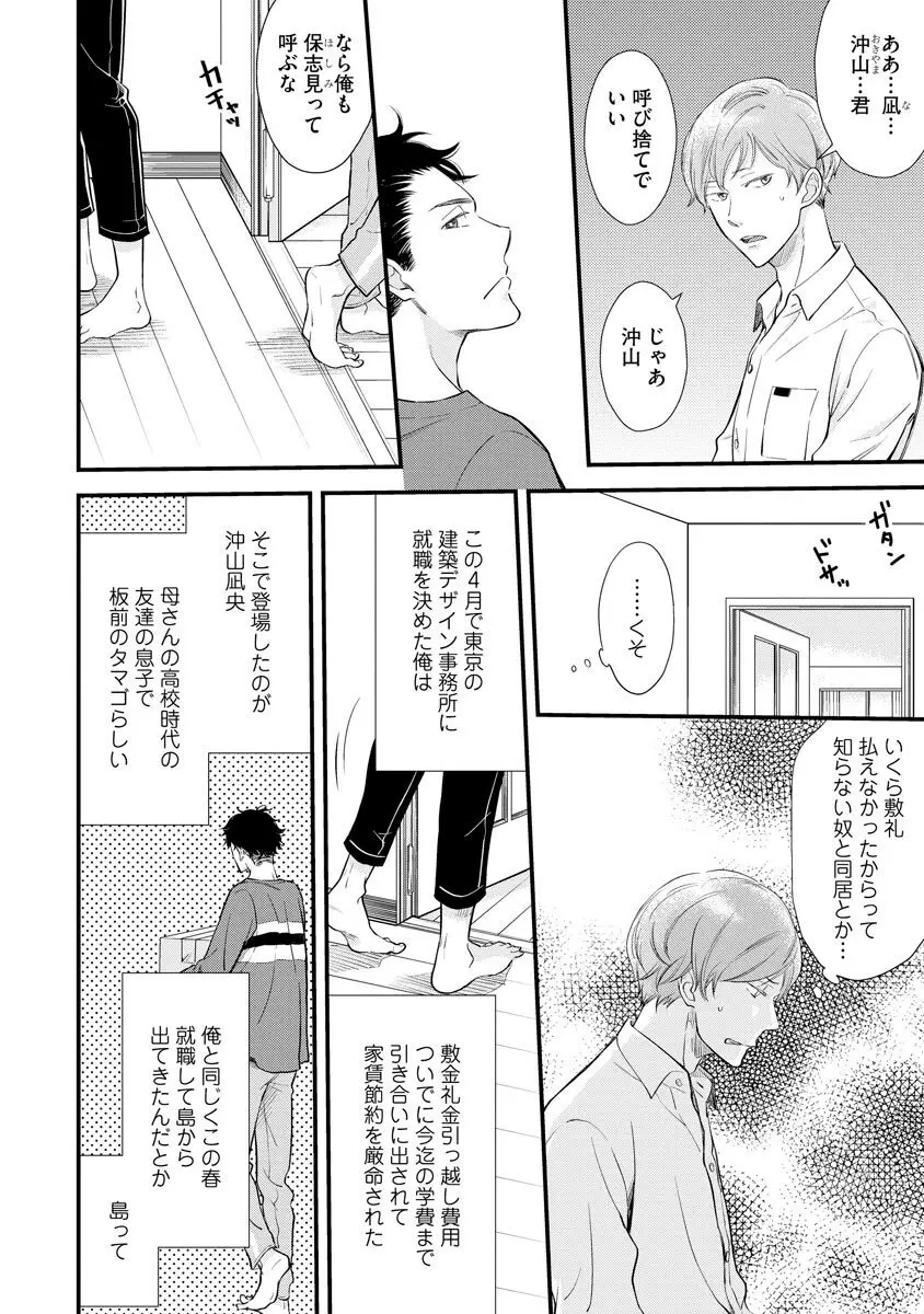 恋心の果てない理屈【電子限定かきおろし漫画付き】 110ページ