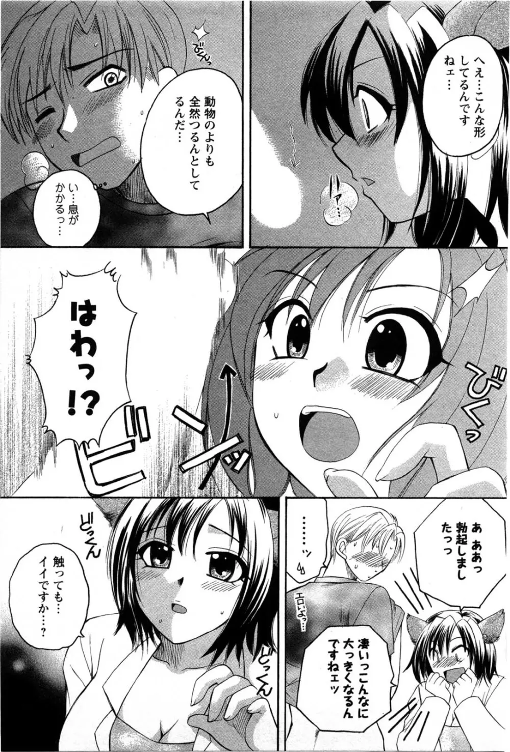 セレブな淑女たち 168ページ